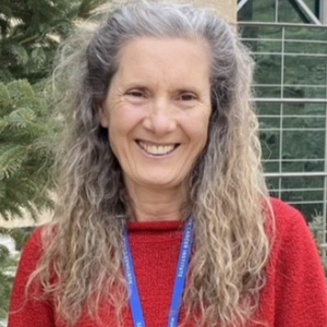Ildiko Strehli